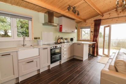 The Cabin near Pontardawe 9