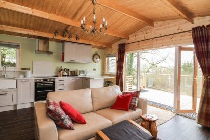 The Cabin near Pontardawe 8