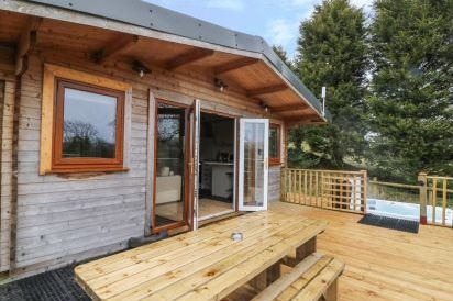 The Cabin near Pontardawe 15