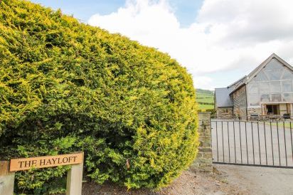 The Hayloft 50