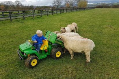 The Stables Holiday Cottage 24