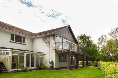 Treetops 31
