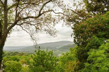 Treetops 35