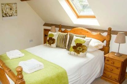 Trooper's Dog-Friendly Cottage 18