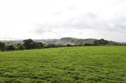 Ty Newydd 78