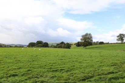 Ty Newydd 79