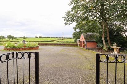 Ty Newydd 81