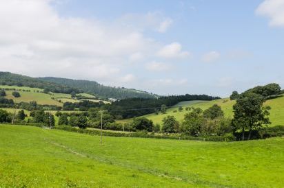 Tyn Y Celyn Isaf 34