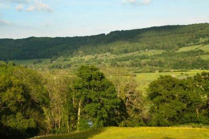 Woodbank 26