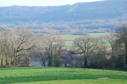 Woodbank 27