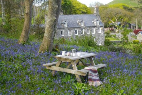 Llanfendigaid 4 Star Rated Country House 13