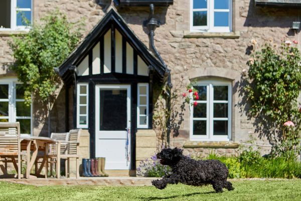 Pet friendly cottage in Lyonshall