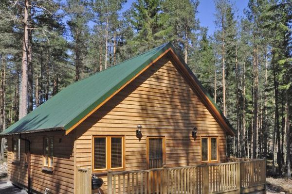 Collection Of Stylish Log Cabins Luxury Cottage Complex In Dinnet