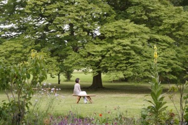 Rare trees at Cossington Park and plenty of space to relax