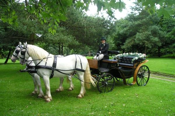 Carriage rides and weddings at Cossington Park