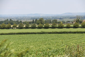 Beautiful Somerset countryside to discover on a luxury cottage break