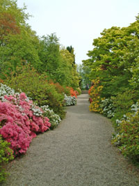 Devon's beautiful gardens