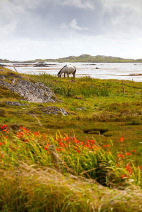 Enjoy some stunning scenery on a luxury self-catering break in Connemara