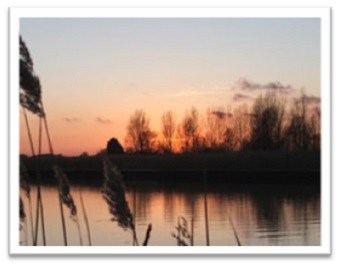 Take a cruise down the Norfolk Broads