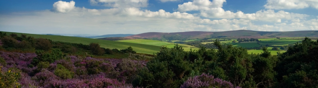 Exmoor moorland
