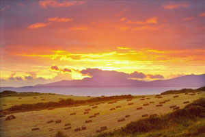 Discover stunning countryside on a luxury cottage break in Glenveagh