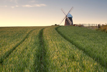 Stunning windmill in the South Downs